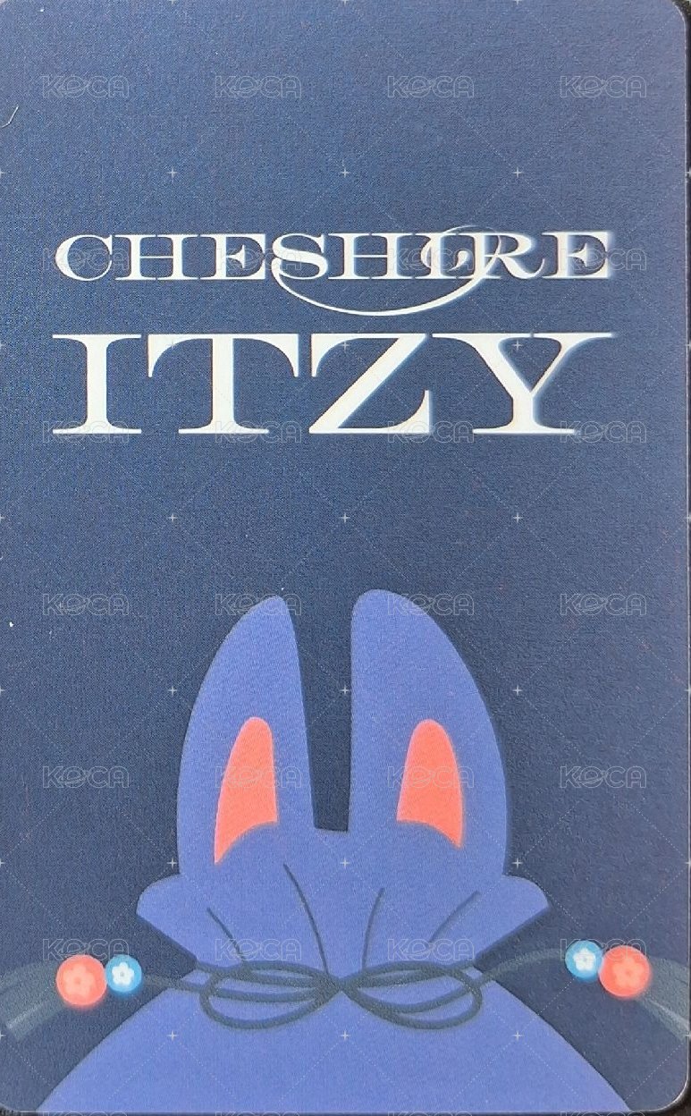 CHESHIRE sw 5.0 幸運卡  背面