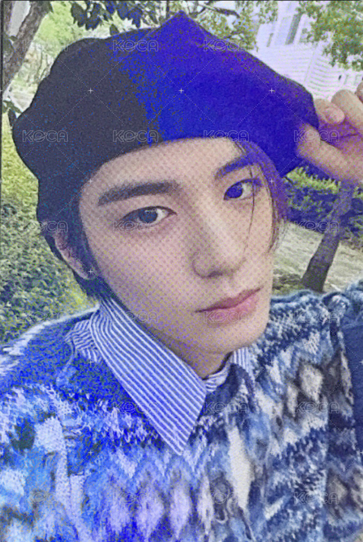 WHY.. wvs 直播卡  正面