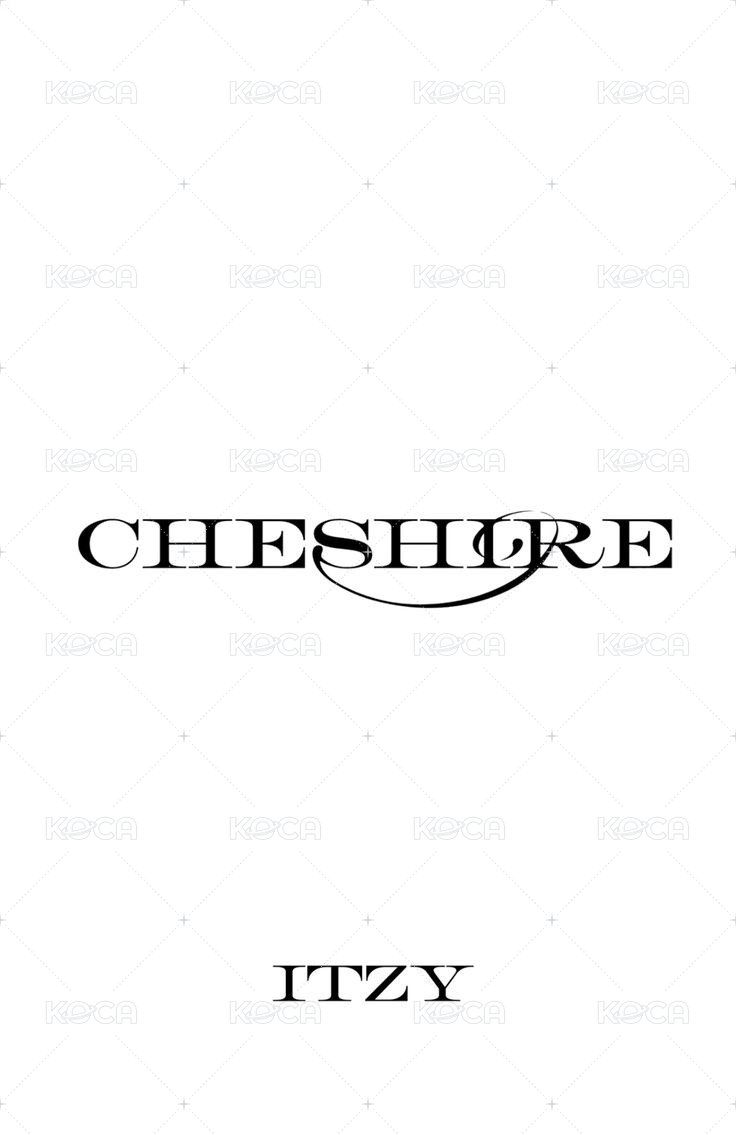 CHESHIRE k4 預售 特典卡  背面