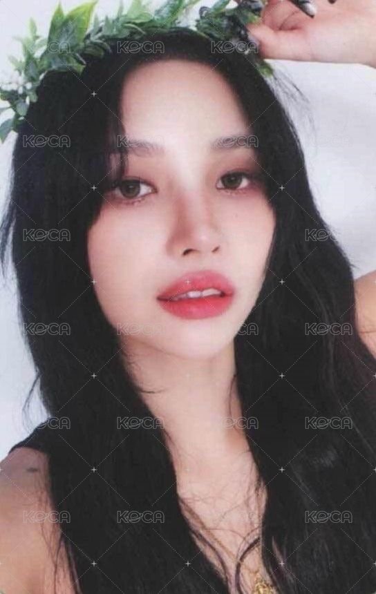 正規二 wm 1.0 預售 特典卡  正面