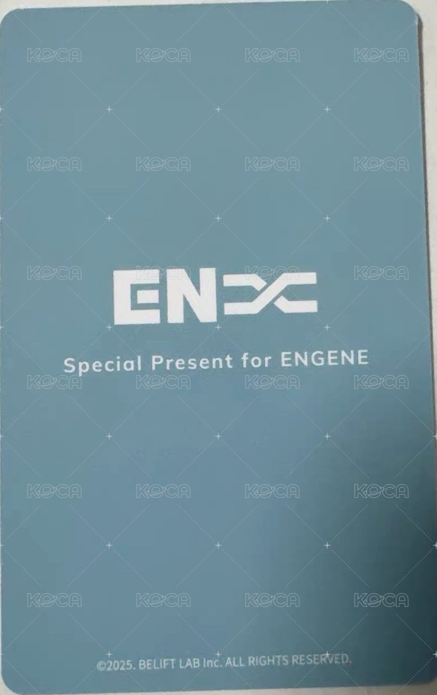 迷六 入場卡 / 場限卡 日巡ZONE卡 粽卡 東京味之素 背面