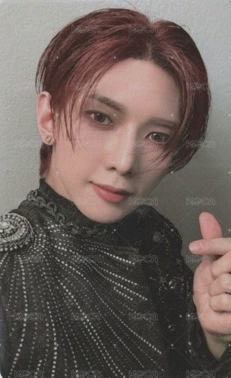 TOWARDS THE LIGHT : WILL TO POWER 周邊卡 卡套小卡 正面