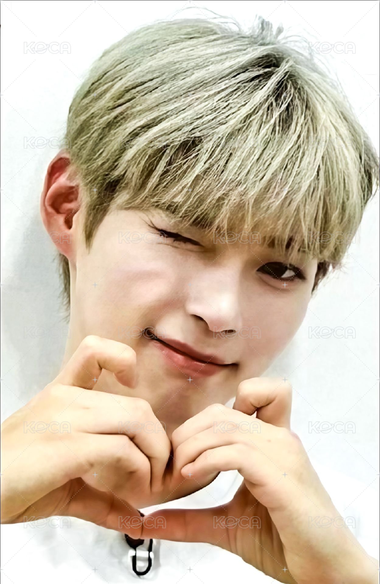 迷四 wm 2.0 特典卡 貓咪愛心 ver. 正面