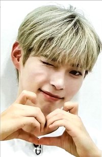 迷四 wm 2.0 特典卡 貓咪愛心 ver.