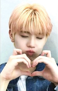 迷四 wm 2.0 特典卡 貓咪愛心 ver.