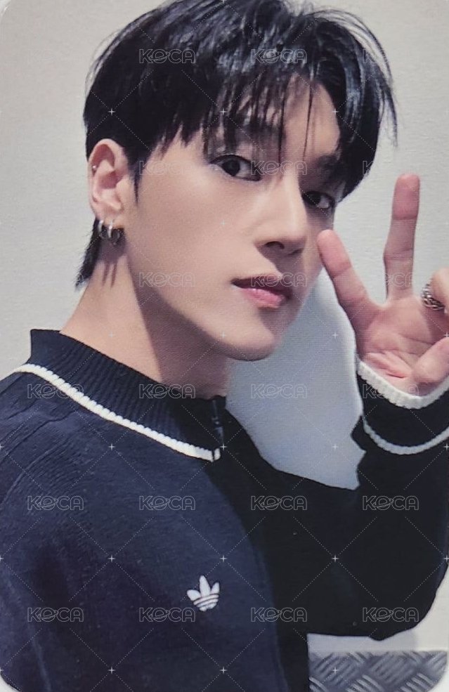 TOWARDS THE LIGHT : WILL TO POWER fromm 線上 直播卡  正面