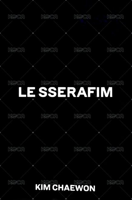 FEARLESS 專輯卡 黑版專卡 背面