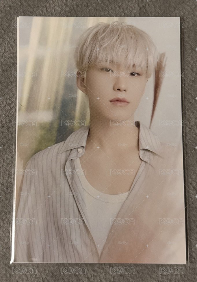 Hoshi 明信片組