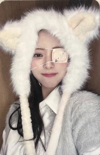 GOLD ms 13.0 簽售卡 狐狸