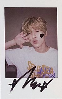 Songbird kms 3.0 v2 簽售卡 