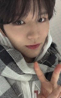 Steady am 4.0 簽售卡 