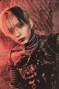 Beautiful Mind 專輯卡 FALLEN NEMO VER.