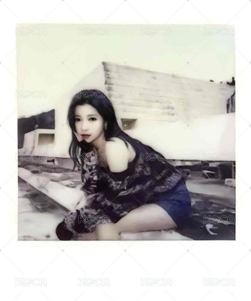 25’世巡 wvs 拼圖拍立得 周邊卡  正面