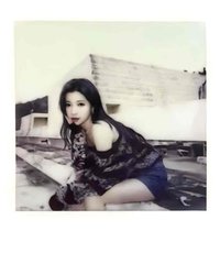 25’世巡 wvs 拼圖拍立得 周邊卡 