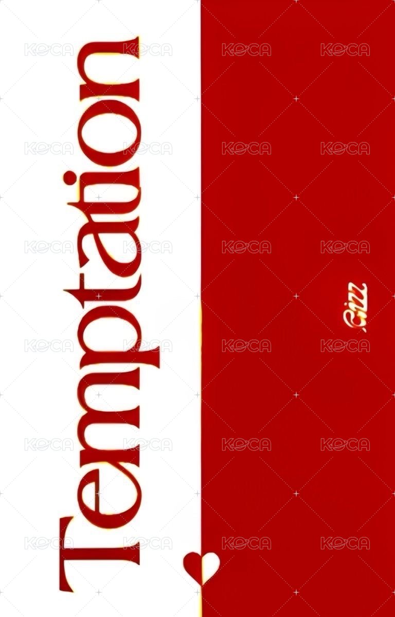 RIZZ 專輯卡 ver.Temptation 背面