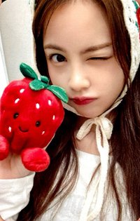 數單一 sw 幸運卡 