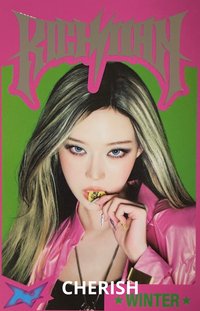 Rich Man 隨機卡 快閃A版官拍 冬