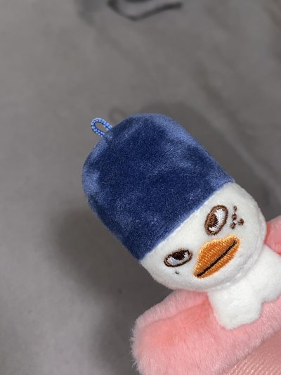 RIIZE PARK SOHEE豆兵絨毛卡套