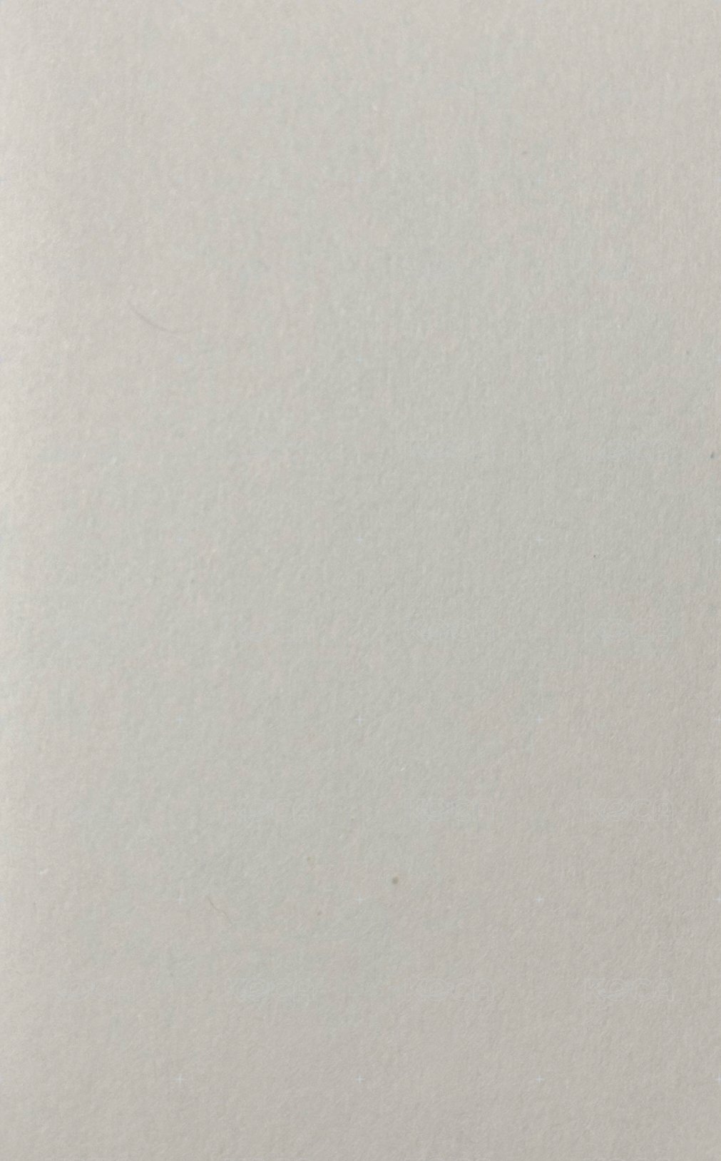 FEARLESS 周邊卡 出道官週貼紙 背面