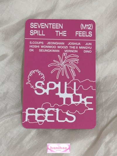 夫勝寛 mini12 迷12 克拉盤隨機卡