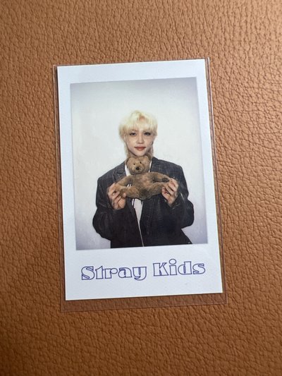 2022 SG 抱熊拍立得