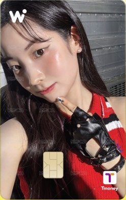 WOWPASS 交通卡 多賢 WOWPASS二代卡 正面