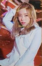 4seasons F/W 周邊卡 卡冊 小卡