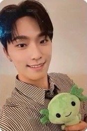 墨西哥快閃店 wvs USA 滿額卡 蠑螈卡 正面