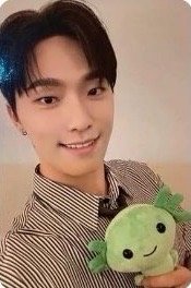 墨西哥快閃店 wvs USA 滿額卡 蠑螈卡