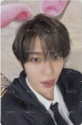 Steady am 1.0 簽售卡  正面