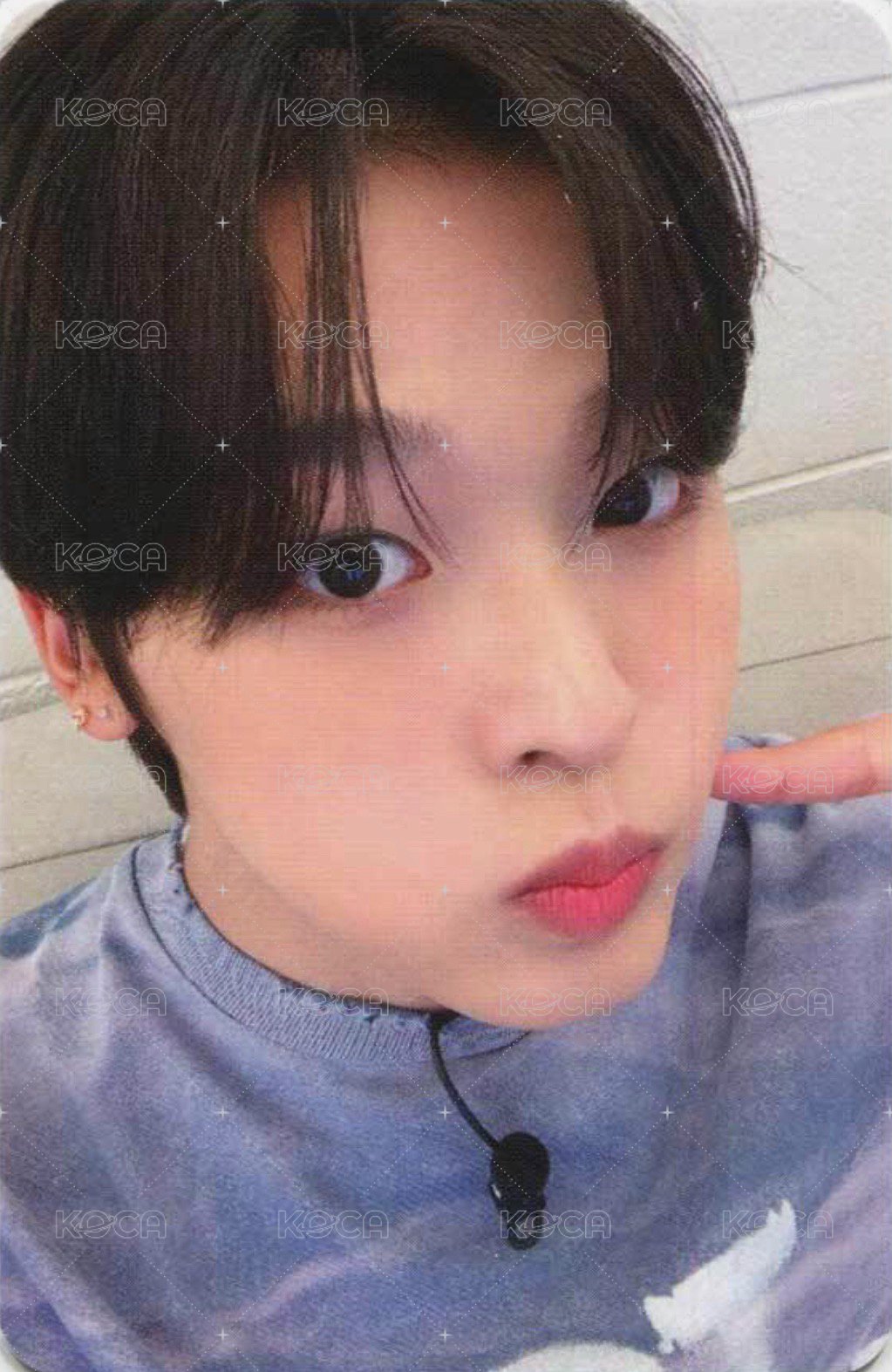 Songbird wm 幸運卡  正面