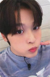 Songbird wm 幸運卡 