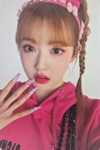 Teddy Bear am 特典卡 