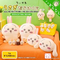 Usagi 兔兔一番賞