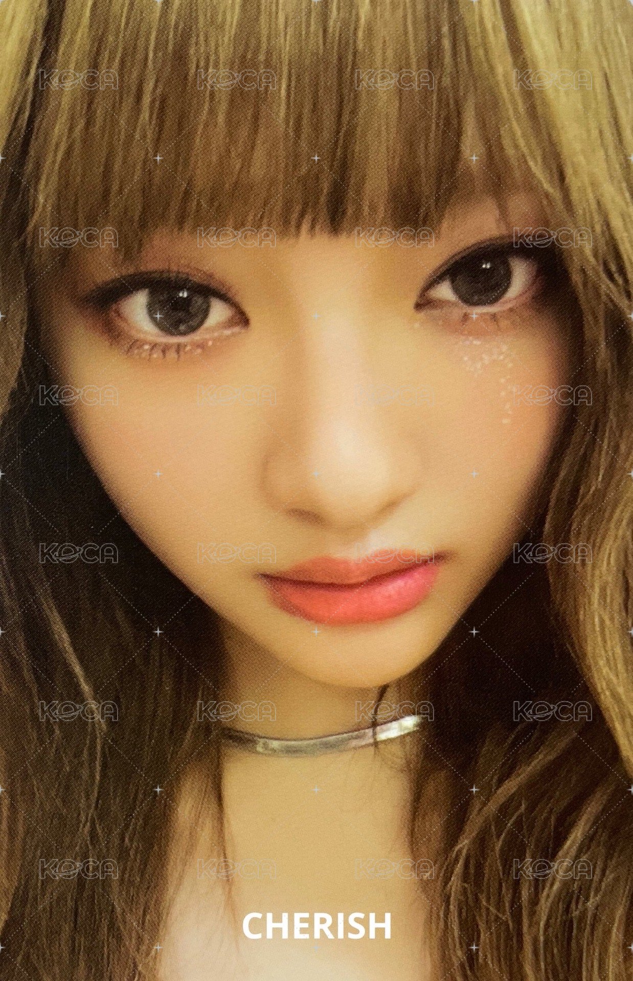 2023年曆 周邊卡 後續 卡冊寧 正面