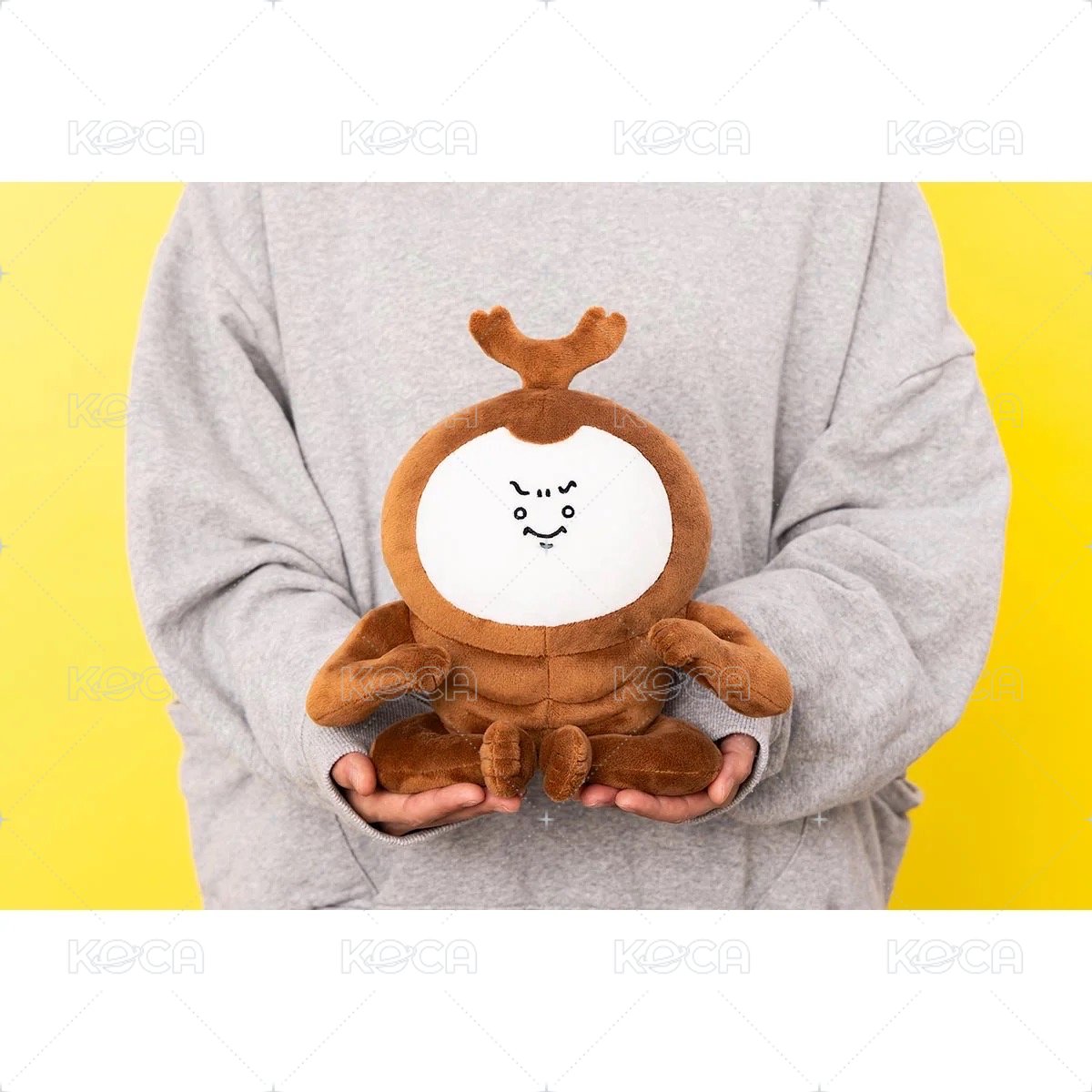 異變小甲蟲