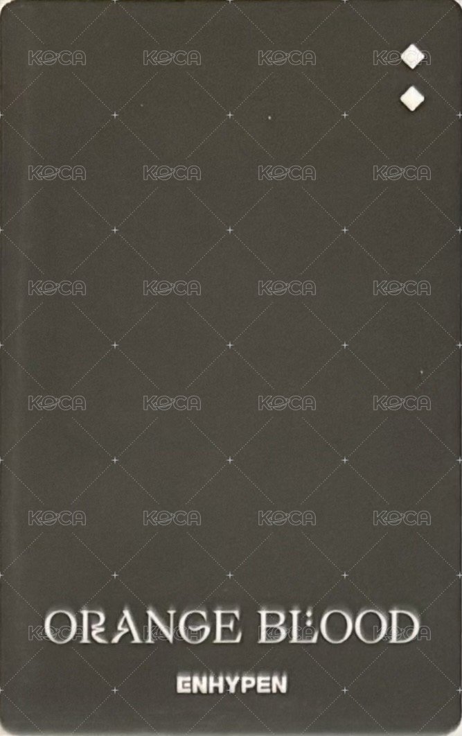 迷五 專輯卡 電子專固配 背面