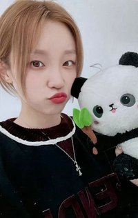 正規二 yzy 4.0 語音 特典卡 