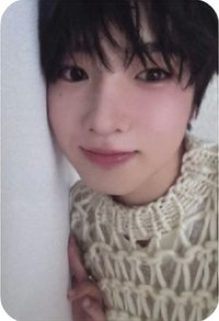 Steady 專輯卡 Nct Wish Sakuya  白版 專卡