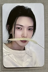 狗尾草尚（雙面卡）