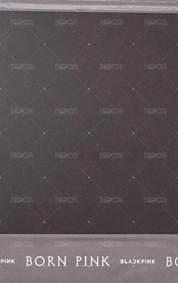 BORN PINK 專輯卡 KIT 拍立得 背面