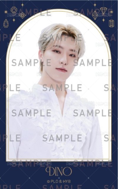 2024博物館 周邊卡 透卡ver.A 正面