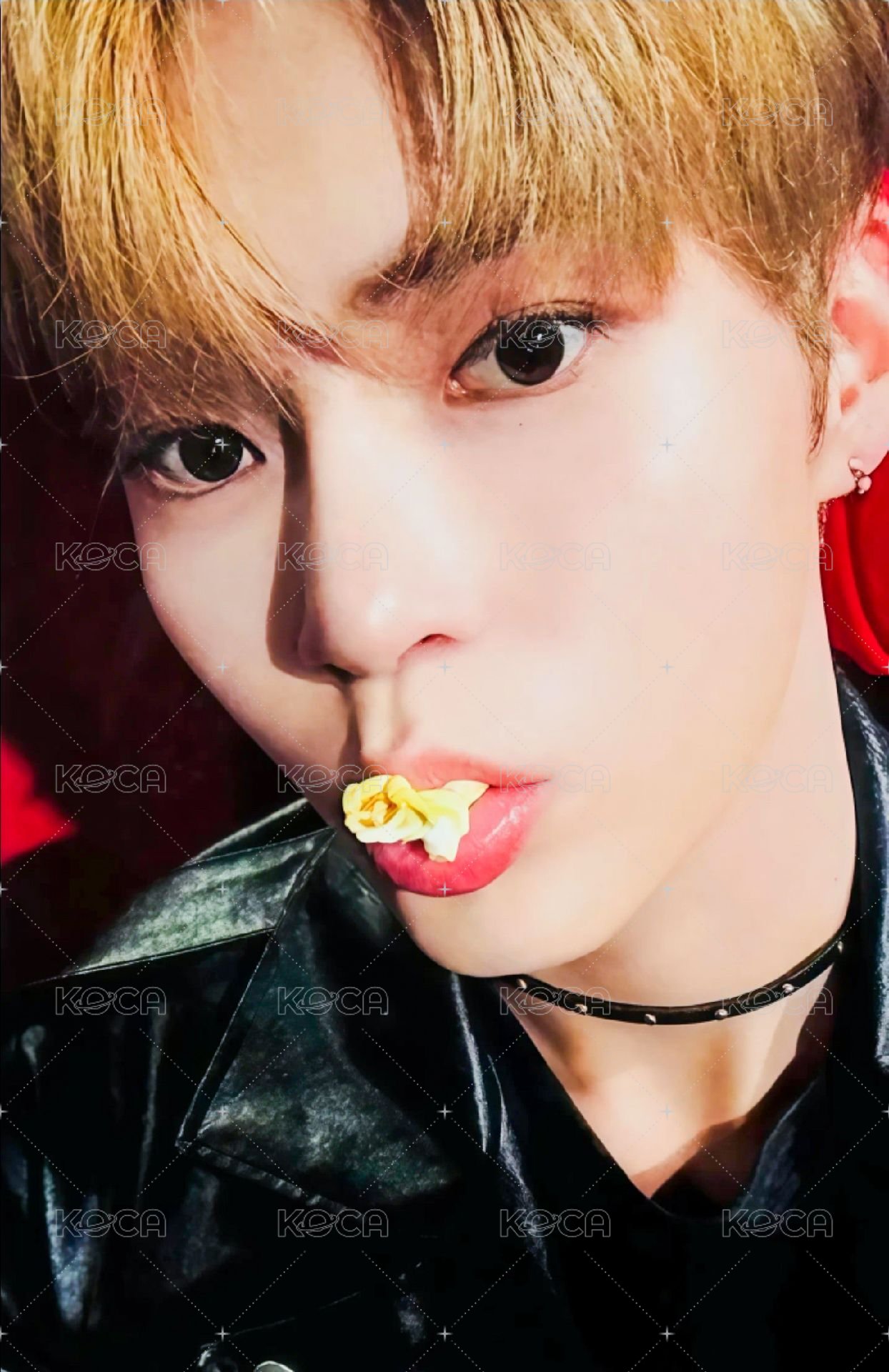 迷四 專輯卡 DIGIPACK ver. 正面