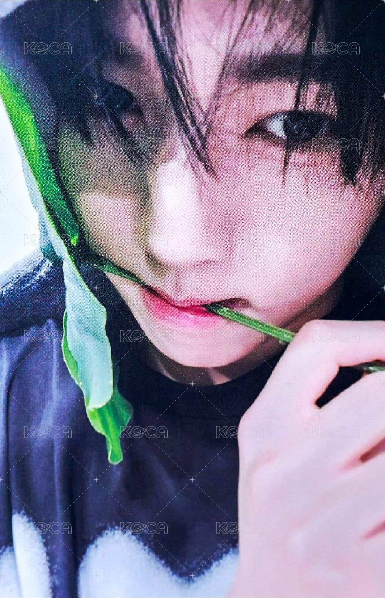 迷二 el 新世界 幸運卡 龍貓 ver. 正面