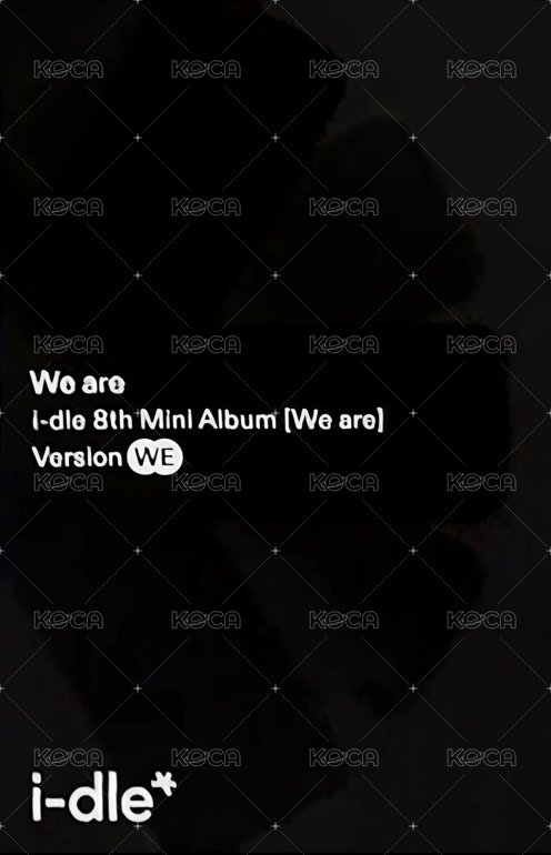 We are 專輯卡 we ver.  專卡-妮 背面