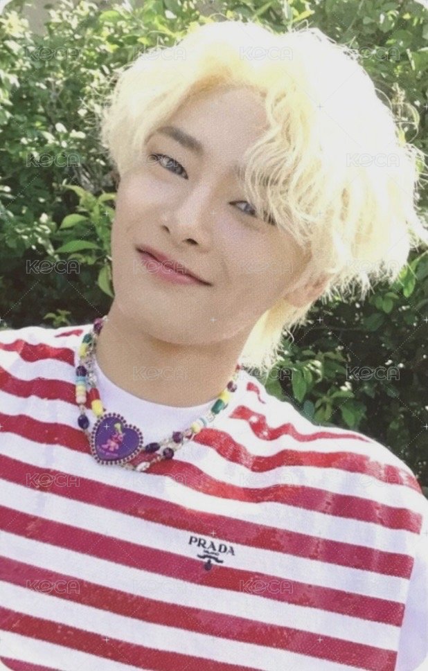 MAXIDENT bdm 特典卡  正面