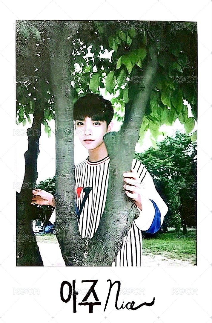 正一後續 專輯卡 正規一後續 正面