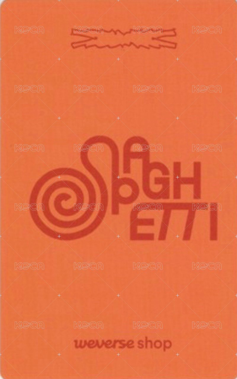 SPAGHETTI wvs PB預售 特典卡  背面