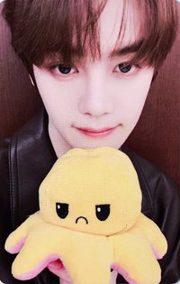 迷五 yzy 1.0 簽售卡 憤怒章魚