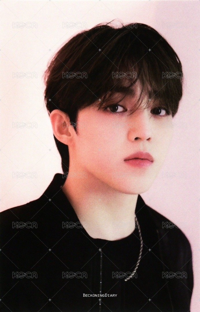 FOLLOW AGAIN 隨機卡 ｜韓通卡包 正面